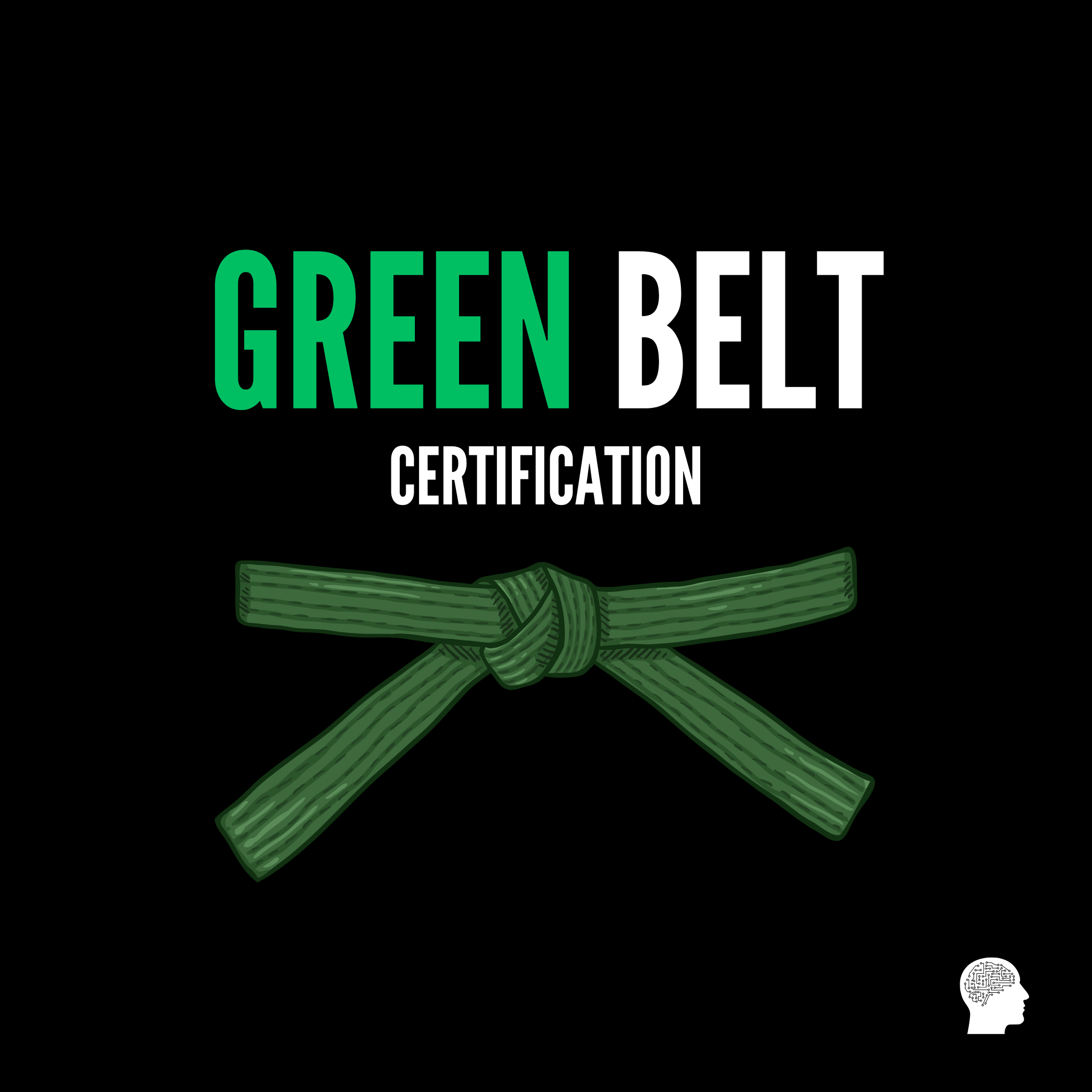 AI Certification - Green Belt
